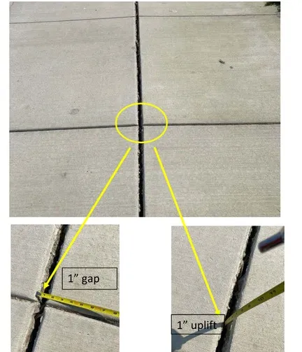 Structural Observation — structural model